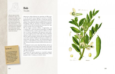 Ilustrowany zielnik Hildegardy z Bingen str 34-35